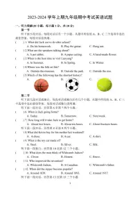 河南省郑州市枫杨外国语学校2023-2024学年九年级上学期期中英语试题