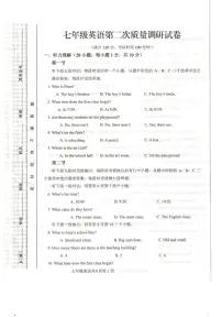 河南省信阳市平桥区2024-2025学年七年级上学期12月期中考试英语试题
