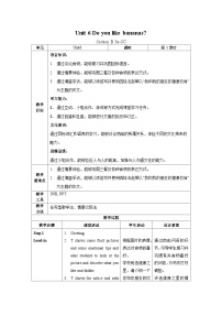 英语Section B教学设计