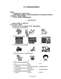 江苏省苏州园区青剑湖实验中学2024-2025学年八年级上学期12月英语月考卷