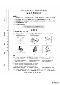 山东省临沂市临沭县2024-2025学年九年级上学期11月期中英语试题