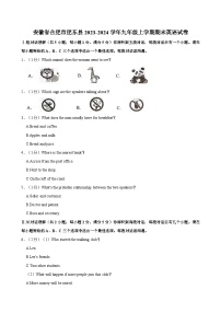 安徽省合肥市肥东县2023-2024学年九年级上学期期末英语试卷