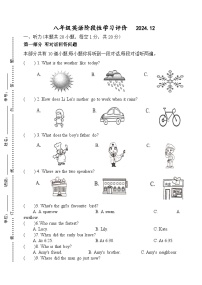 江苏省镇江市丹徒区宜城中学集团2024-2025学年九年级上学期12月月考英语试题