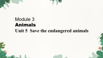 初中英语沪教牛津版（2024）八年级下册Unit 5 Save the endangered animals授课课件ppt