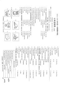 河北省沧州市第十三中学2024-2025学年七年级上学期期中考试英语试卷