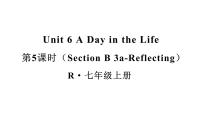 初中英语人教版（2024）七年级上册（2024）Section B教学ppt课件