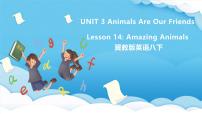 初中英语冀教版（2024）八年级下册Lesson 14 Amazing Animals获奖ppt课件