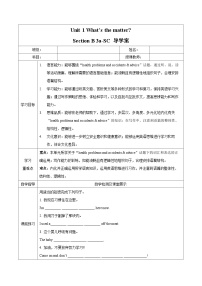 初中英语人教版（2024）八年级下册Section B精品学案