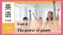 英语七年级上册（2024）Unit 6 The power of plants授课ppt课件
