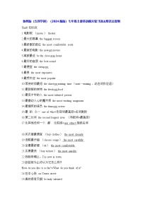 鲁教版（五四学制）（2024新版）七年级上册英语期末复习语法知识点提纲 学案