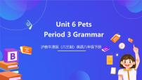 沪教牛津版（2024）八年级下册Unit 6 Pets完美版ppt课件