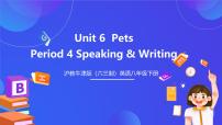 英语八年级下册Unit 6 Pets评优课课件ppt