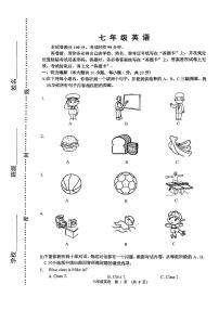 天津市河西区2024-2025学年七年级上学期期末考试 英语试题（原卷版+解析版）