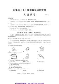 2024～2025学年四川省眉山市仁寿县九年级上期末教学质量监测英语试卷(+含答案)