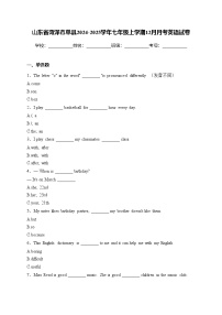 山东省菏泽市单县2024-2025学年七年级上学期12月月考英语试卷(含答案)