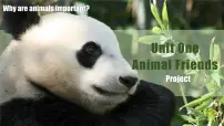 初中人教版（2024）Unit 1 Animal friends评课ppt课件