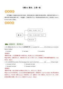 中考英语第二轮复习专题04 数词 & 主谓一致（讲练）（解析版）