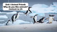 初中英语人教版(2024)七年级下册(2024)Unit 1 Animal friends教案配套课件ppt