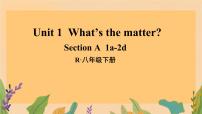 人教版（2024）八年级下册Section A教课内容课件ppt