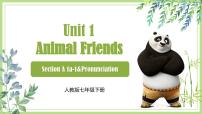 人教版（2024）七年级下册（2024）Unit 1 Animal friends课堂教学课件ppt