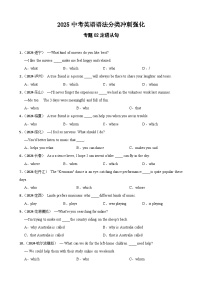 专题02 定语从句（含答案+解析）—2025中考英语语法分类冲刺强化 [中考真题+名校模拟]