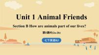 初中英语人教版（2024）七年级下册（2024）Unit 1 Animal friends课前预习课件ppt