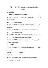 鲁教版（五四学制）（2024）七年级下册Section B精品课时练习