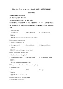 四川省宜宾市2024-2025学年九年级上学期期末检测英语试卷（解析版）