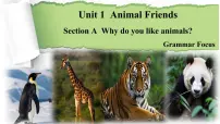 人教版（2024）七年级下册（2024）Unit 1 Animal friends优秀课件ppt