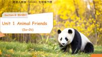 初中英语人教版（2024）七年级下册（2024）Unit 1 Animal friends教案配套ppt课件