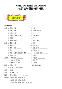 2025新人教版七年级下册英语 Unit 2知识点梳理及语法讲义(学生版)