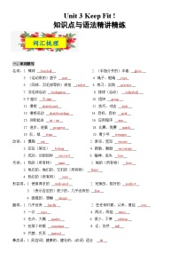 2025新人教版七年级下册英语 Unit 3知识点梳理及语法讲义(教师版)