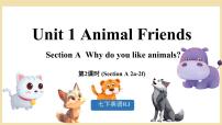 初中英语人教版（2024）七年级下册（2024）Unit 1 Animal friends课堂教学课件ppt