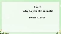 人教版（2024）七年级下册（2024）Unit 1 Animal friends教学演示ppt课件