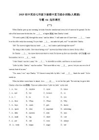 专题 04 完形填空-2025初中英语七年级下册期中复习综合训练(人教版)