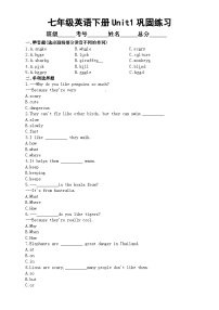 英语七年级下册（2024）Unit 1 Animal friends课时训练