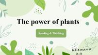 初中英语外研版（2024）七年级上册（2024）Unit 6 The power of plants完美版课件ppt