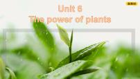 初中英语外研版（2024）七年级上册（2024）Unit 6 The power of plants优质ppt课件