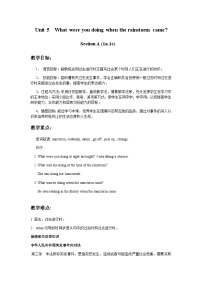 人教版（2024）Unit 5 What were you doing when the rainstorm came? Section A教案设计
