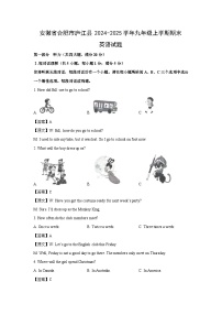 安徽省合肥市庐江县2024-2025学年九年级(上)期末英语试卷（解析版）