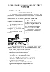 浙江省温州市实验中学2024-2025学年九年级下学期开学考试 英语试题（含解析）