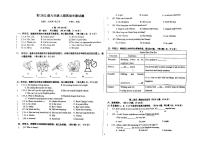 四川省成都市青羊区教科院附中2024-2025学年九年级上学期期中考试英语试卷
