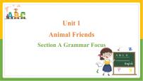 人教版（2024）七年级下册（2024）Unit 1 Animal friends教学ppt课件