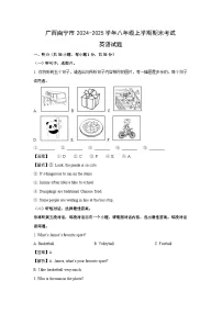 2024~2025学年广西南宁市八年级上学期期末考试(解析版)英语