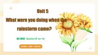 人教版（2024）八年级下册Unit 5 What were you doing when the rainstorm came? Section B图文课件ppt