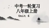 译林版中考英语一轮复习 八年级上册 Unit6 课件