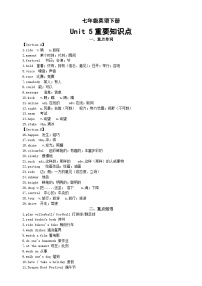 初中英语人教版（2024）七年级下册（2024）Unit 5 Here and Now学案设计