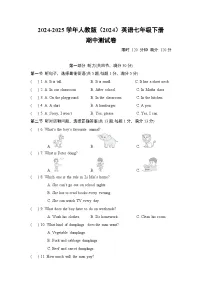 期中测试卷 2024-2025学年人教版（2024）英语七年级下册