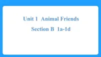 人教版（2024）七年级下册（2024）Unit 1 Animal friends教案配套课件ppt