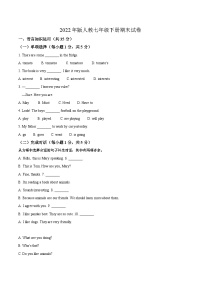 期末模拟试卷练习-吉林省2024-2025学年（人教版2024）七年级英语下学期